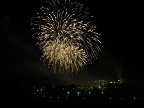 MP Encourages Public to Fill Out Firework Survey